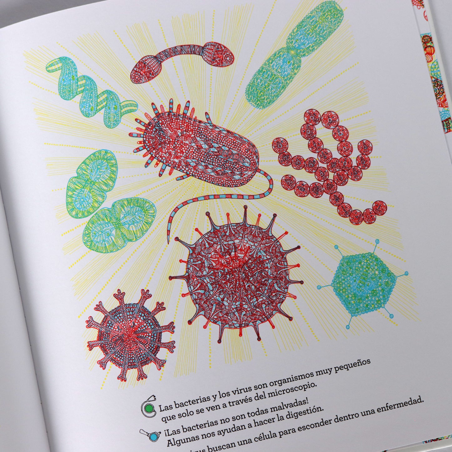 ¿Qué se esconde en el cuerpo humano? . Aina Bestard