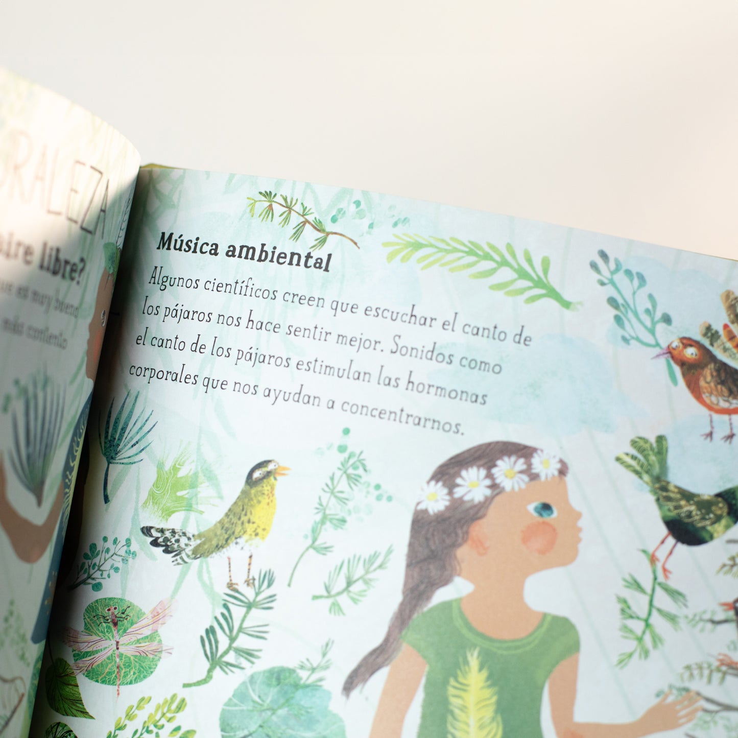 El gran libro de la madre tierra . Yuval Zommer