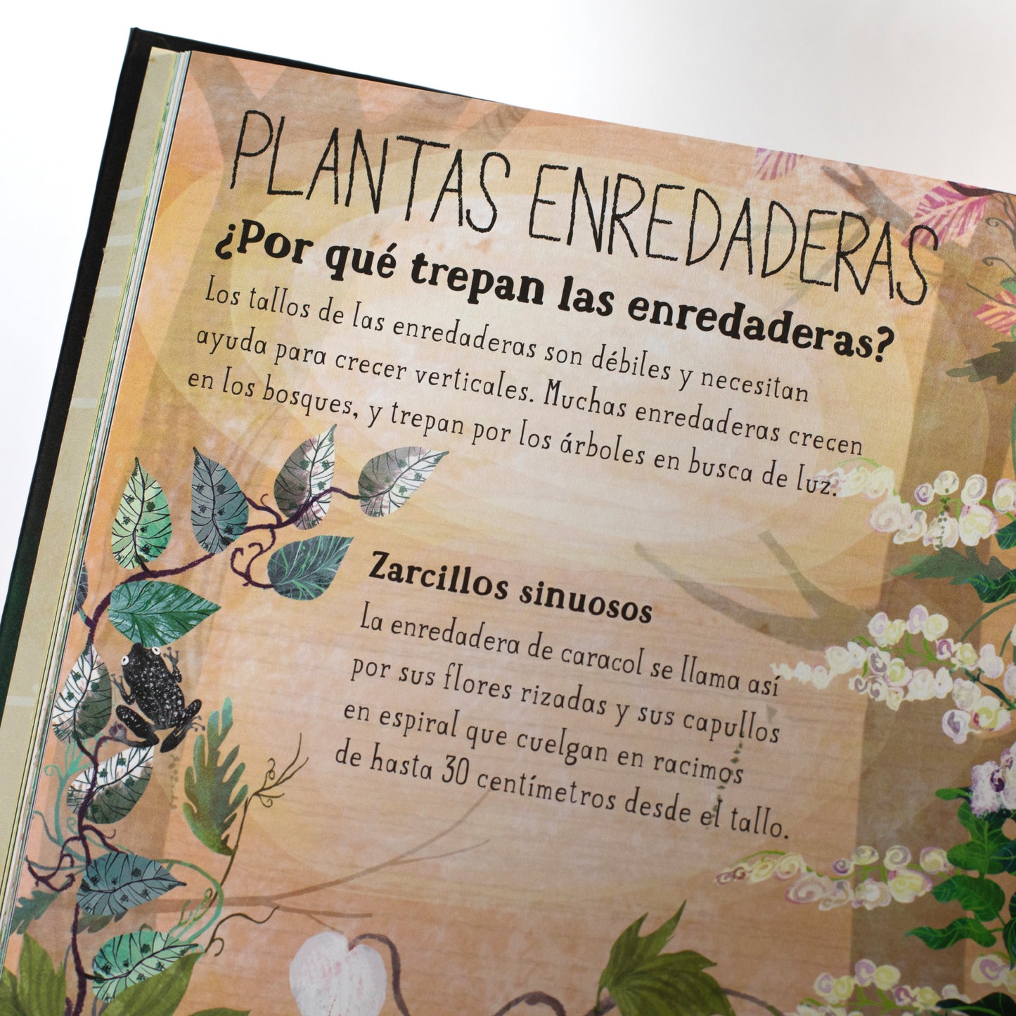 El gran libro de las flores . Yubal Zommer