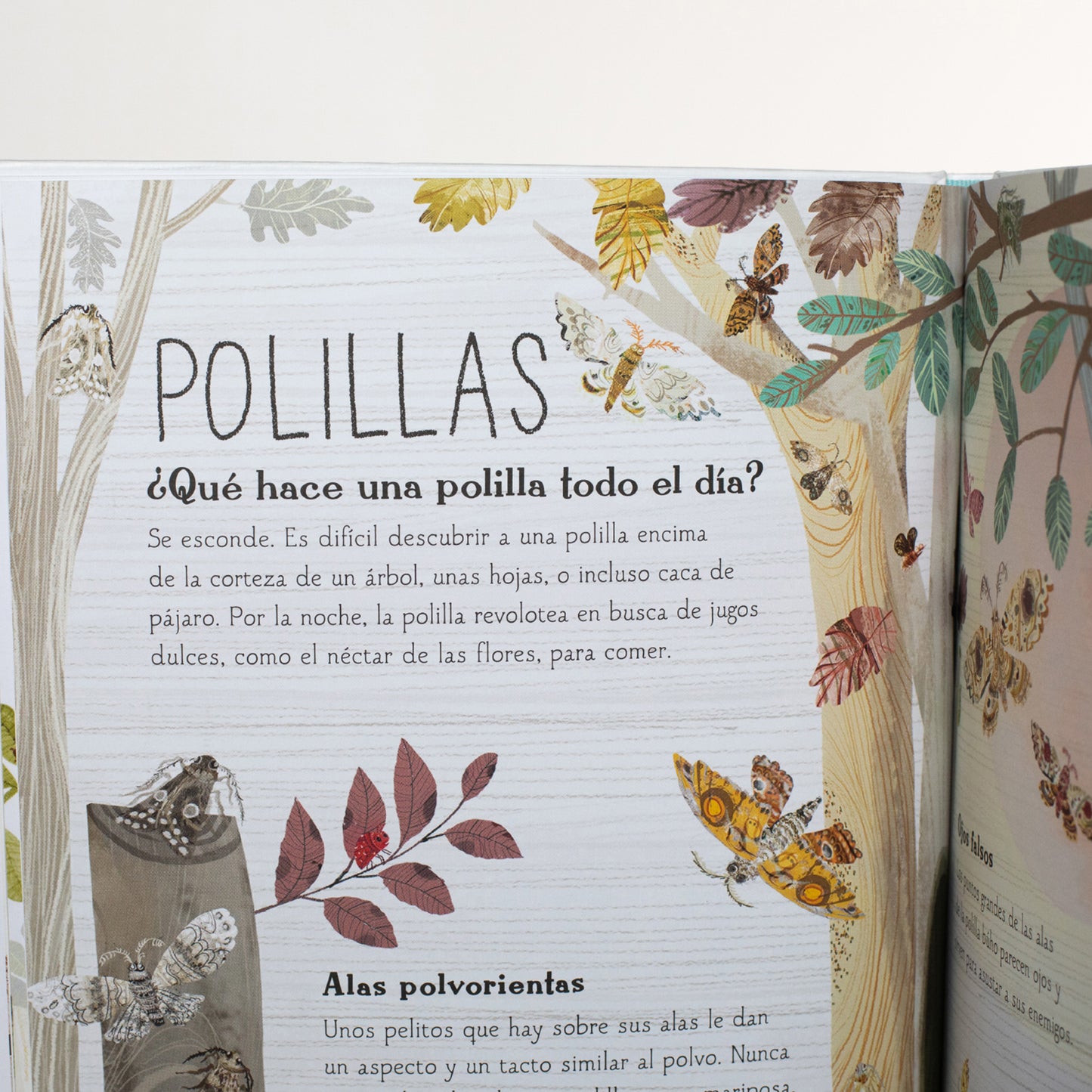 El gran libro de los bichos . Yubal Zommer