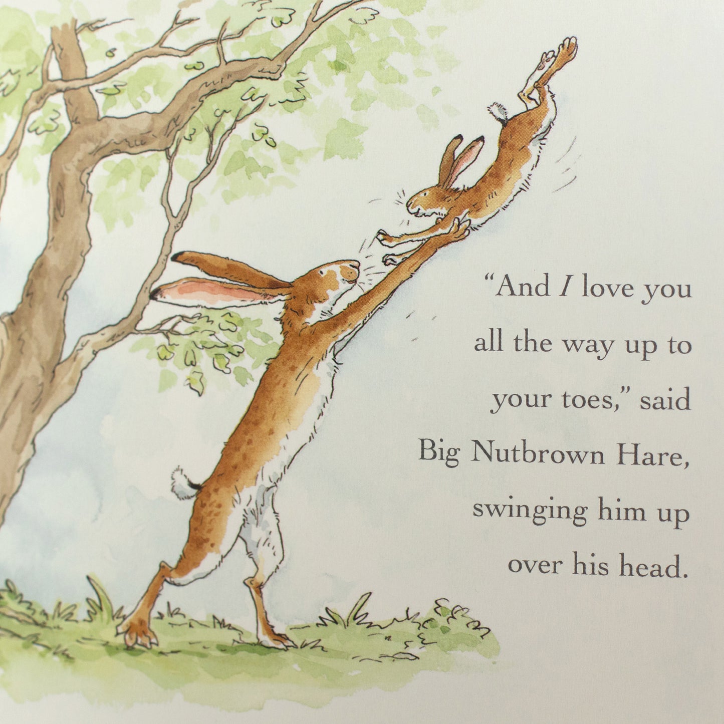 Pre-loved ♡ Guess how much I love you . Sam McBratney & Anita Jeram