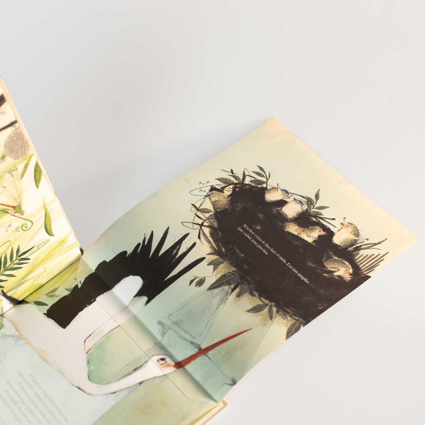 La casa de los erizos . Ángel Domingo y Mercè López