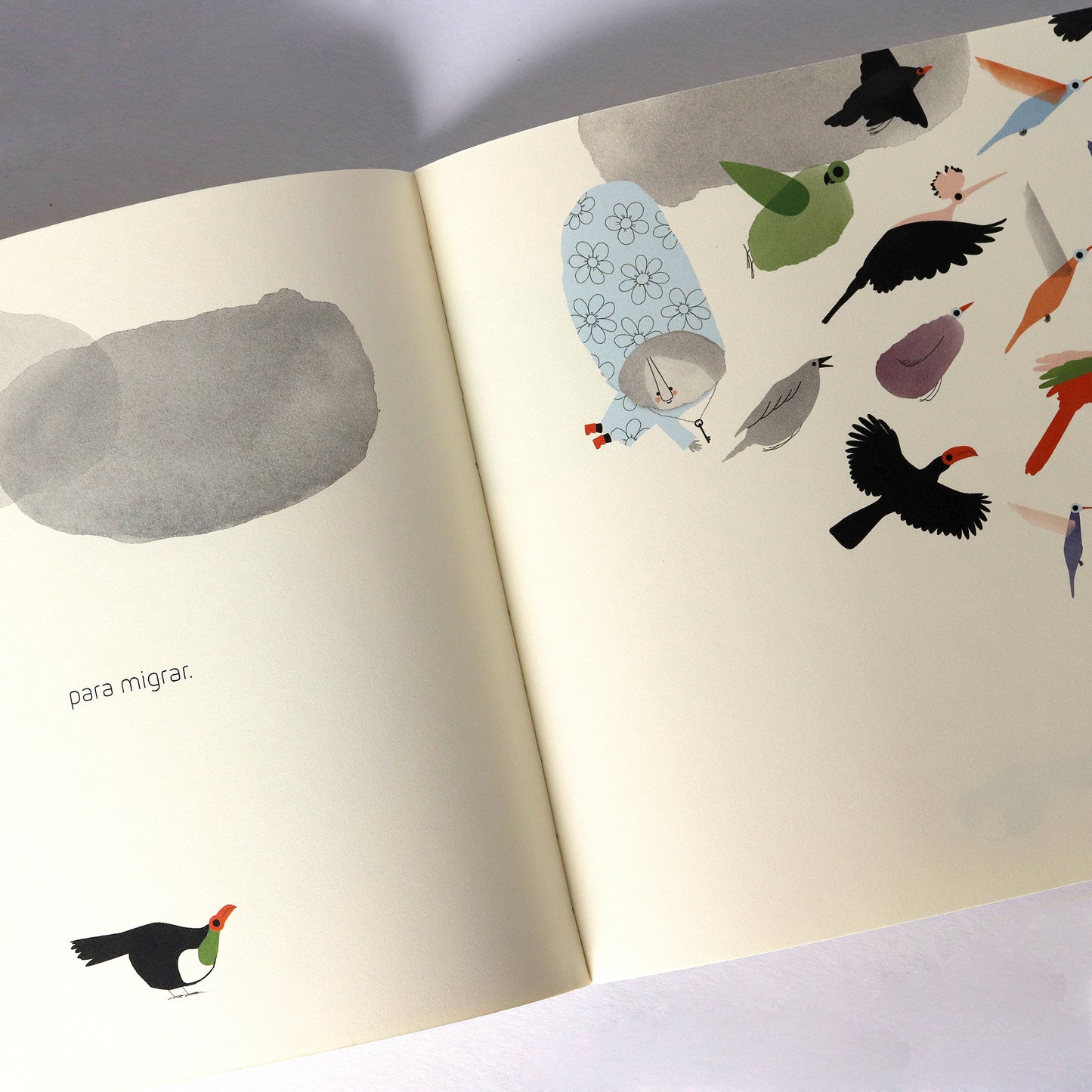 La señora de los pájaros . Yael Frankel