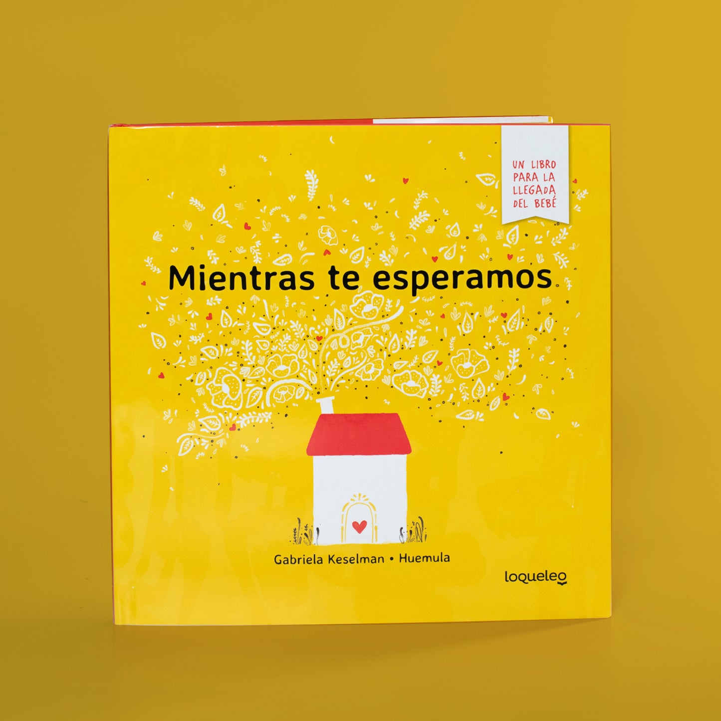 Mientras te esperamos . Gabriela Keselman