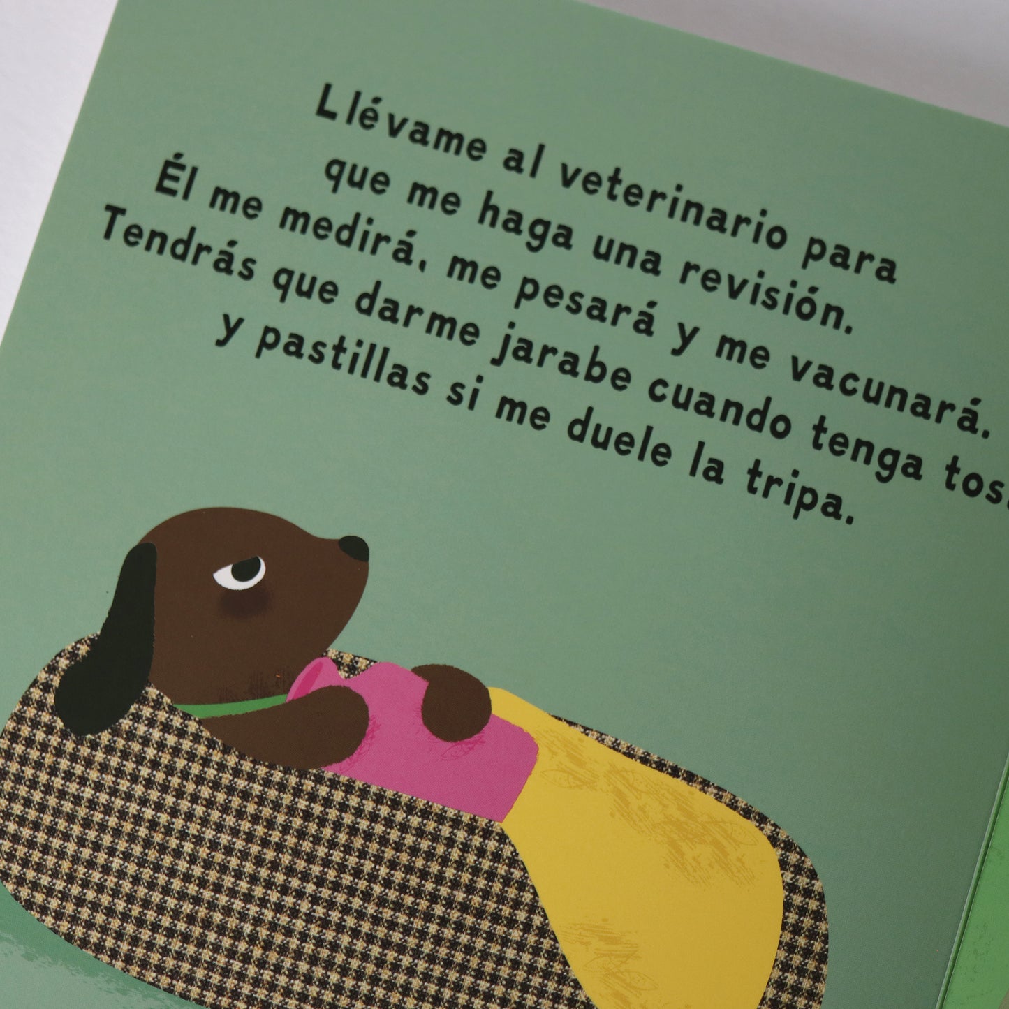 Mi perro . Patricia Geis