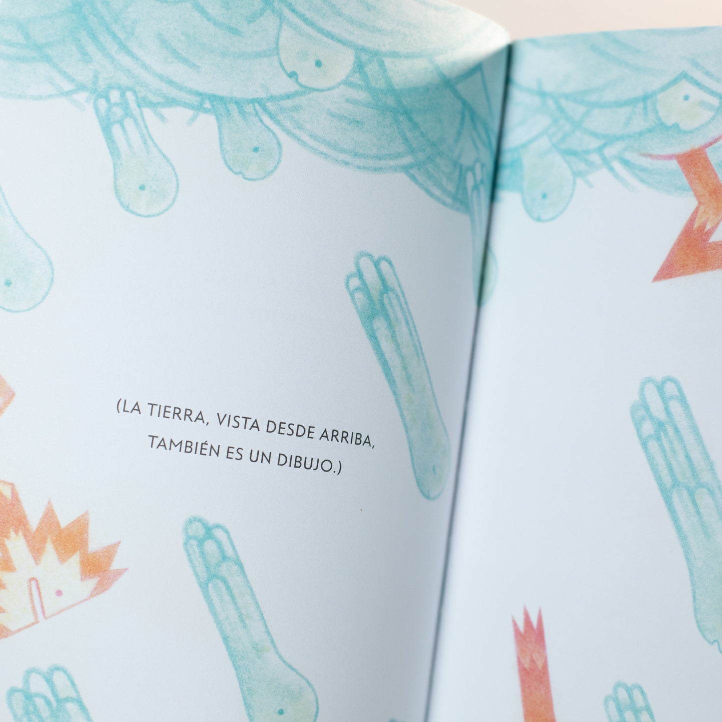 Plap plap el corazón de la lluvia . María José Ferrada y Marco Paschetta