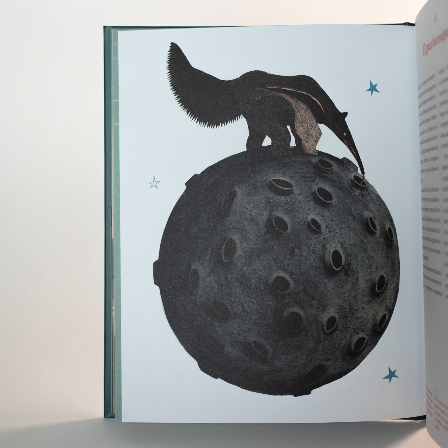 Seres asombrosos . José Ramón Alonso y Riki Blanco