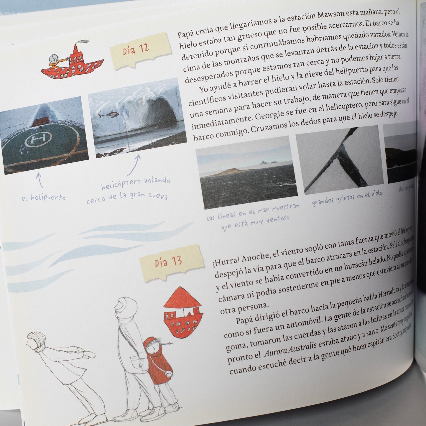 Pre-loved ♡ Sofía viaja a la antártida . Alison Lester