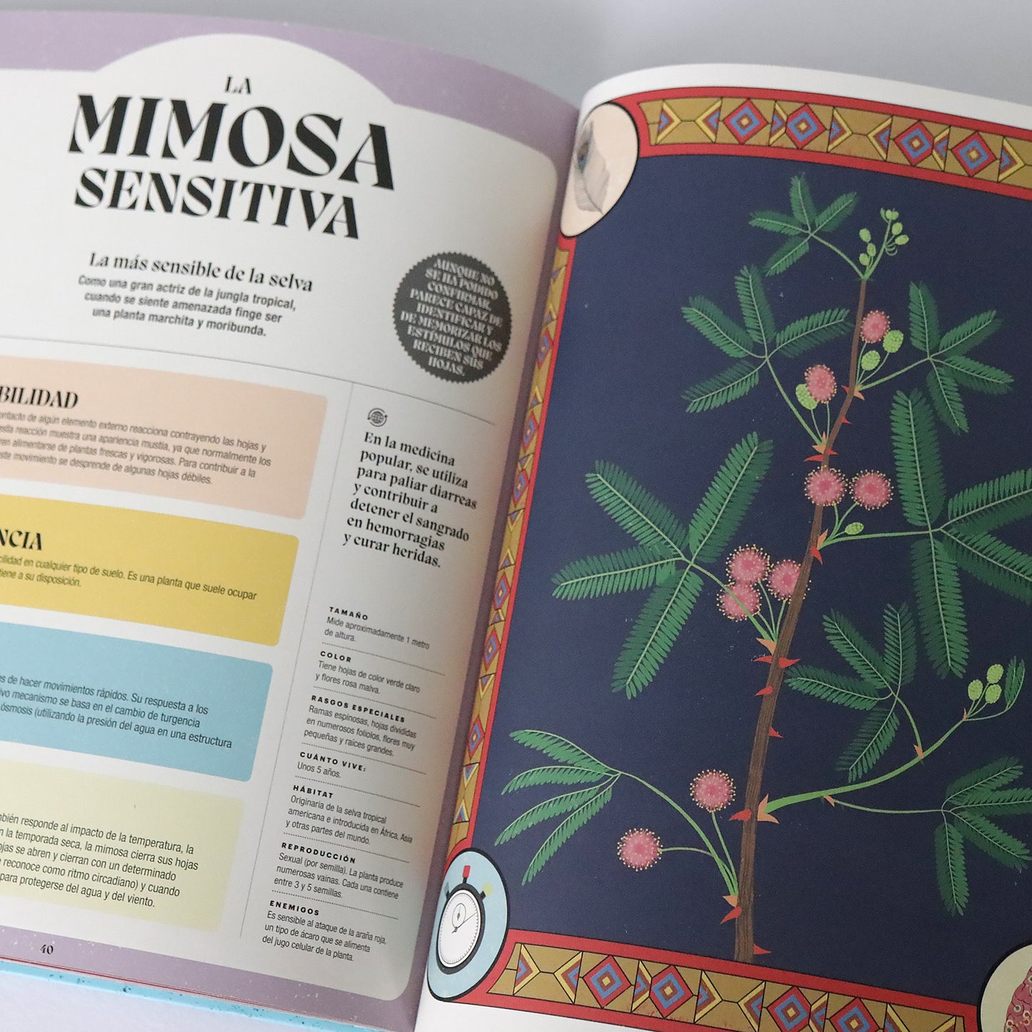 Super poderes de las plantas . Soledad Romero Mariño y Sonia Pulido