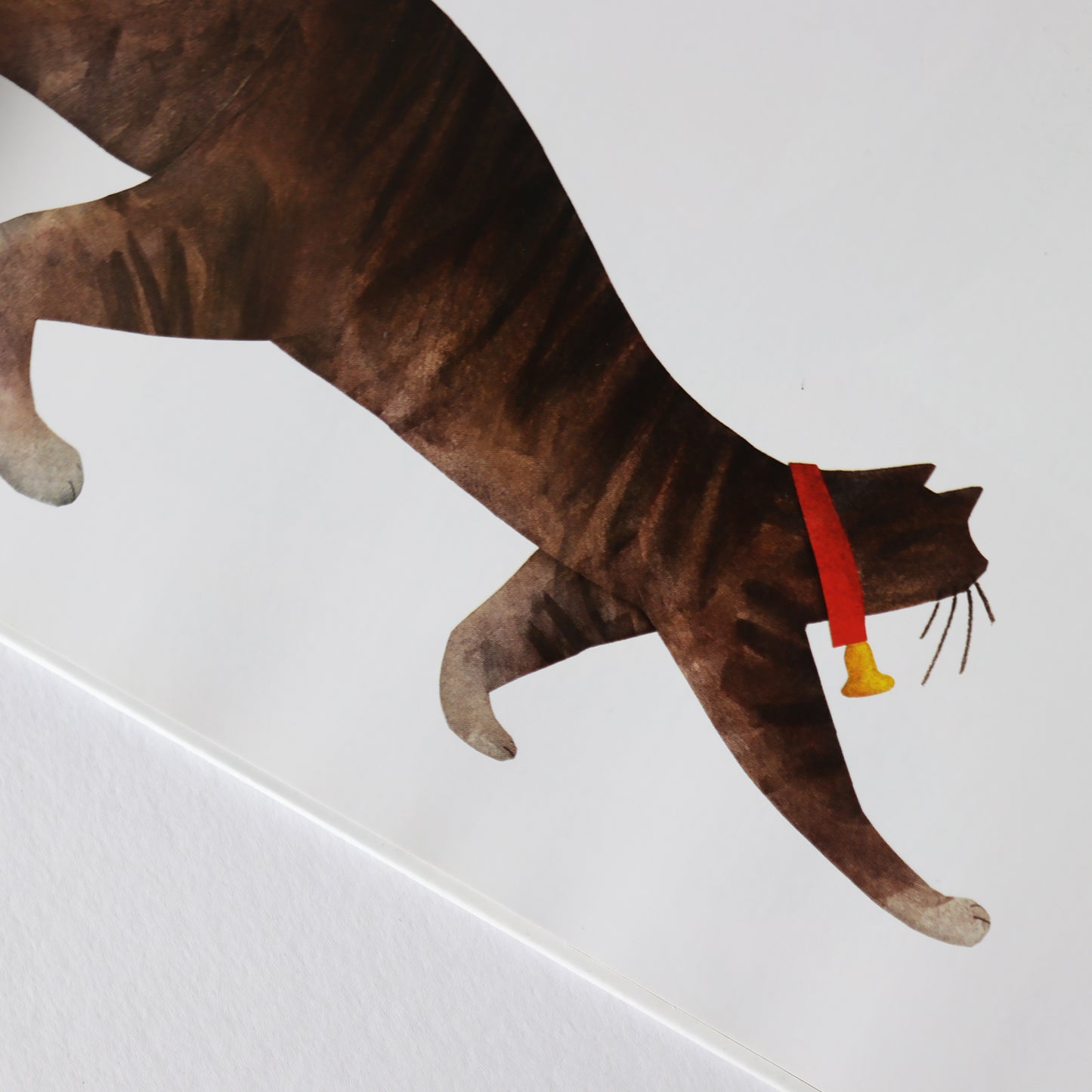 Todos vieron un gato . Brendan Wenzel