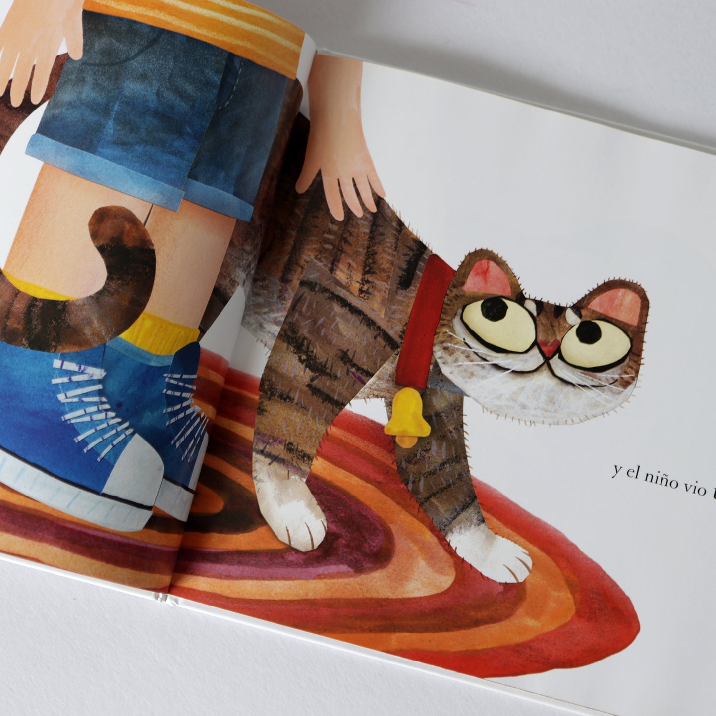 Todos vieron un gato . Brendan Wenzel