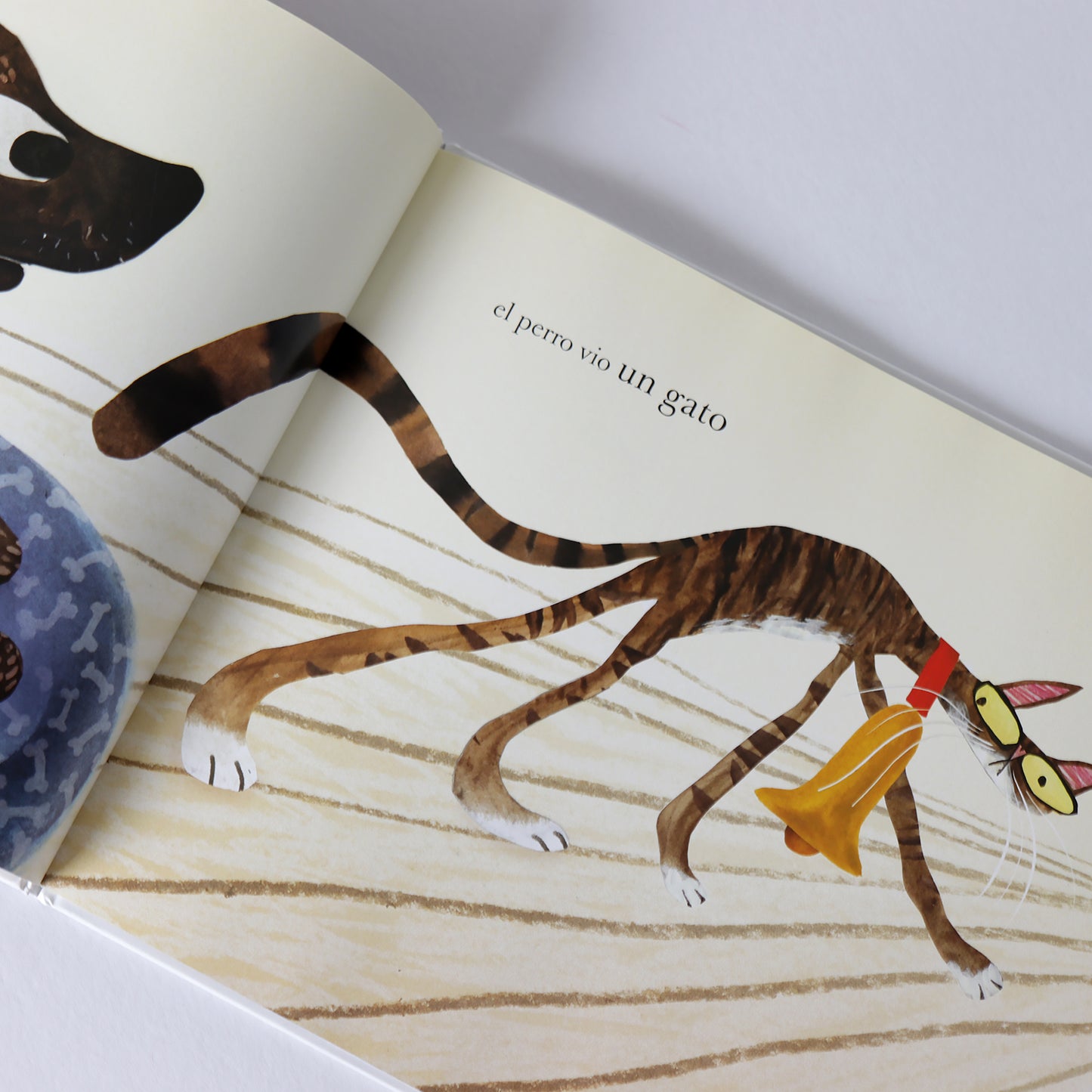 Todos vieron un gato . Brendan Wenzel