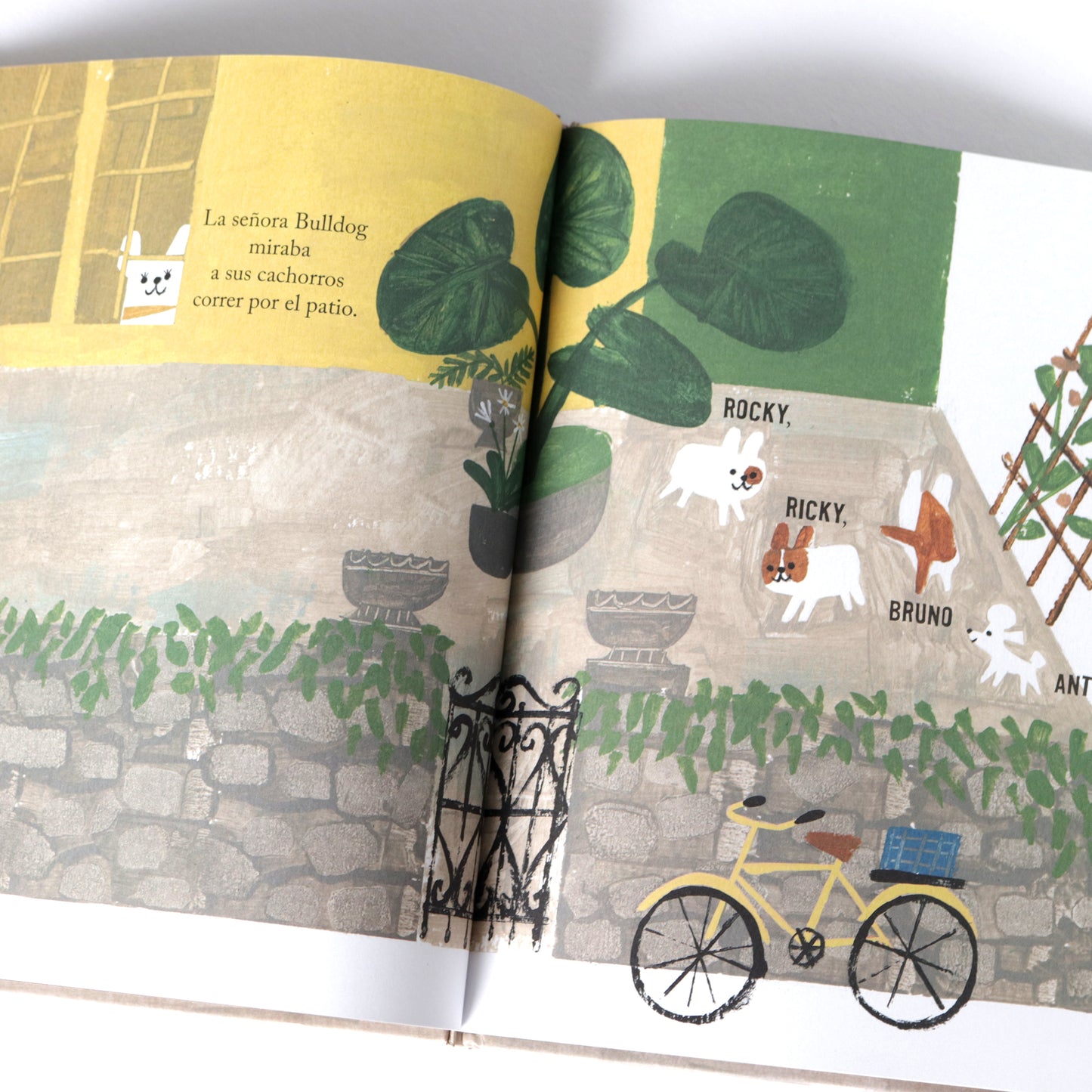 Antoinette . Kelly DiPucchio y Christian Robinson