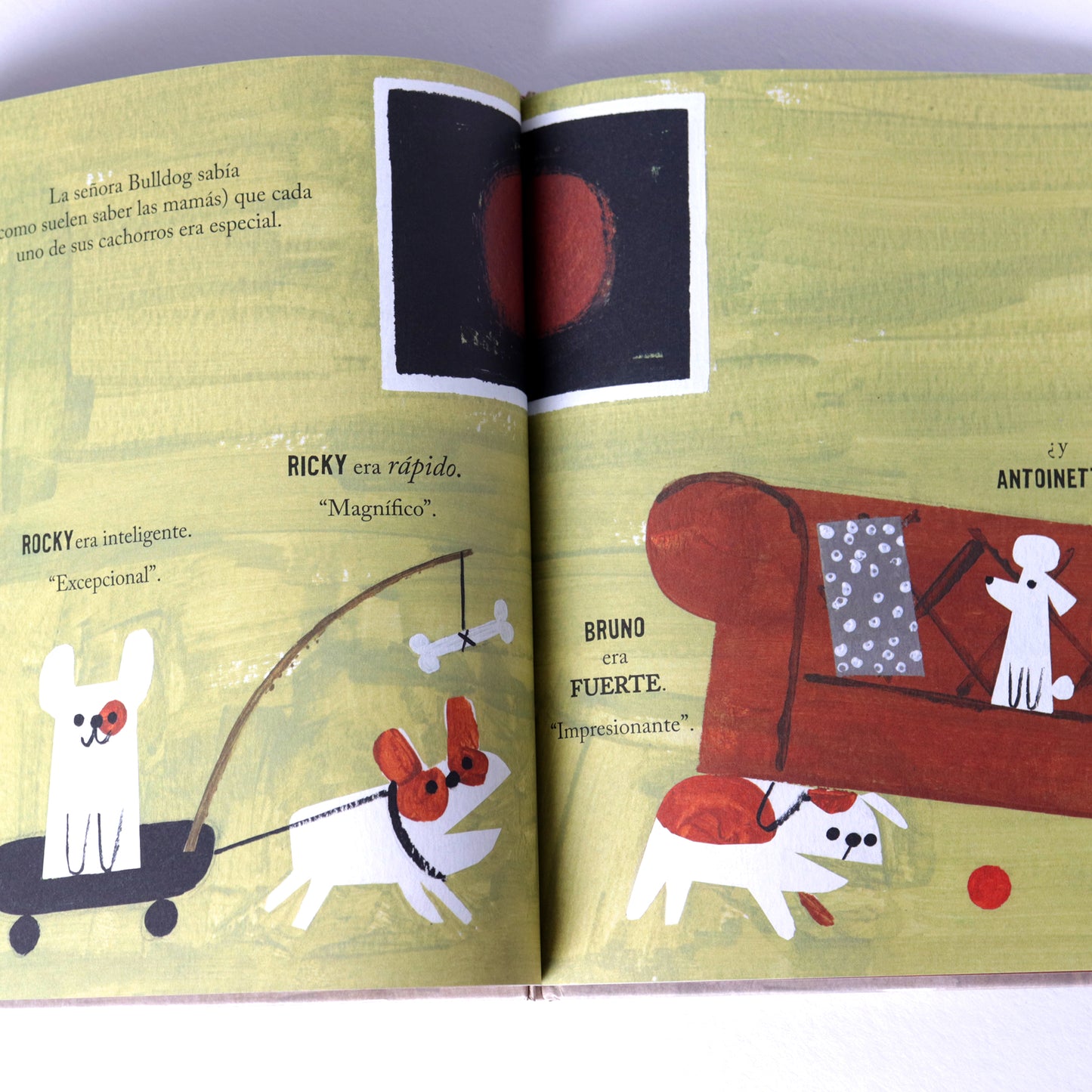 Antoinette . Kelly DiPucchio y Christian Robinson