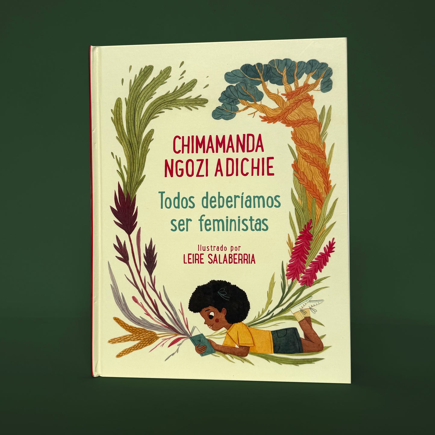 Todos deberíamos ser feministas . Chimamanda Ngozi Adichie y Leire Salaberria