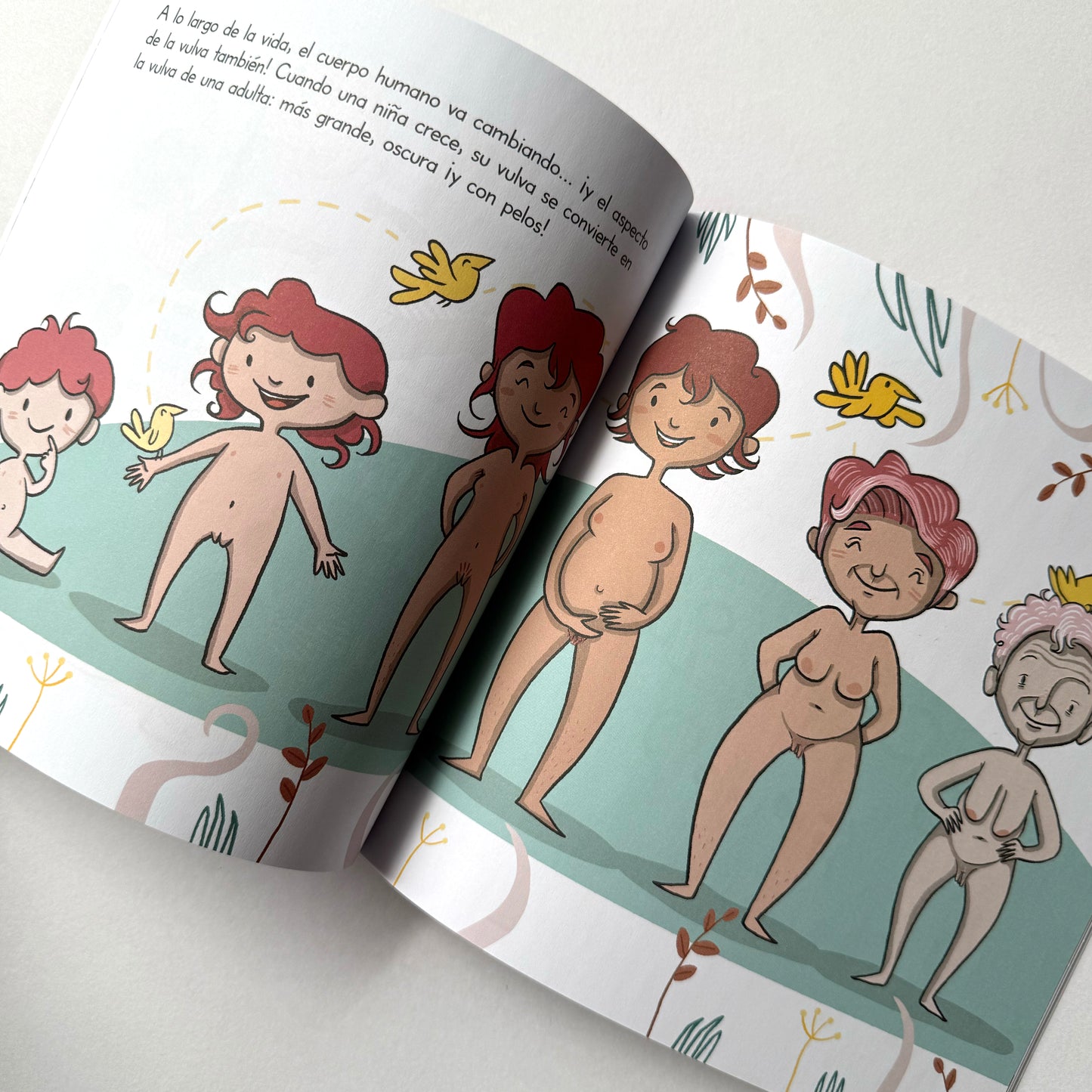 ¡Se llama vulva! (mini Menstruita) . Anna Salvia y Cristina Torrón