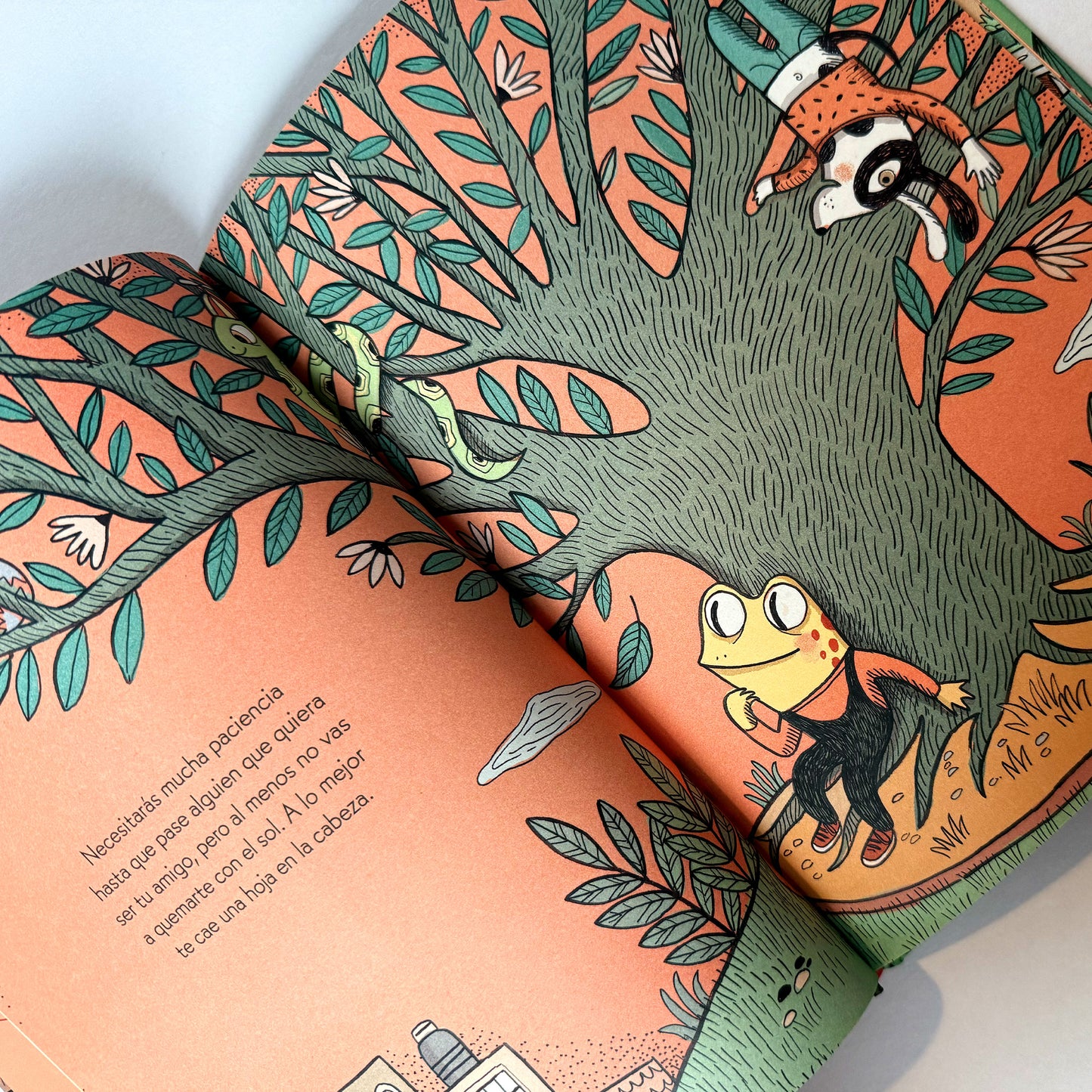 Formas de hacer amigos . Jair Buitrago y Mariana Ruiz Johnson