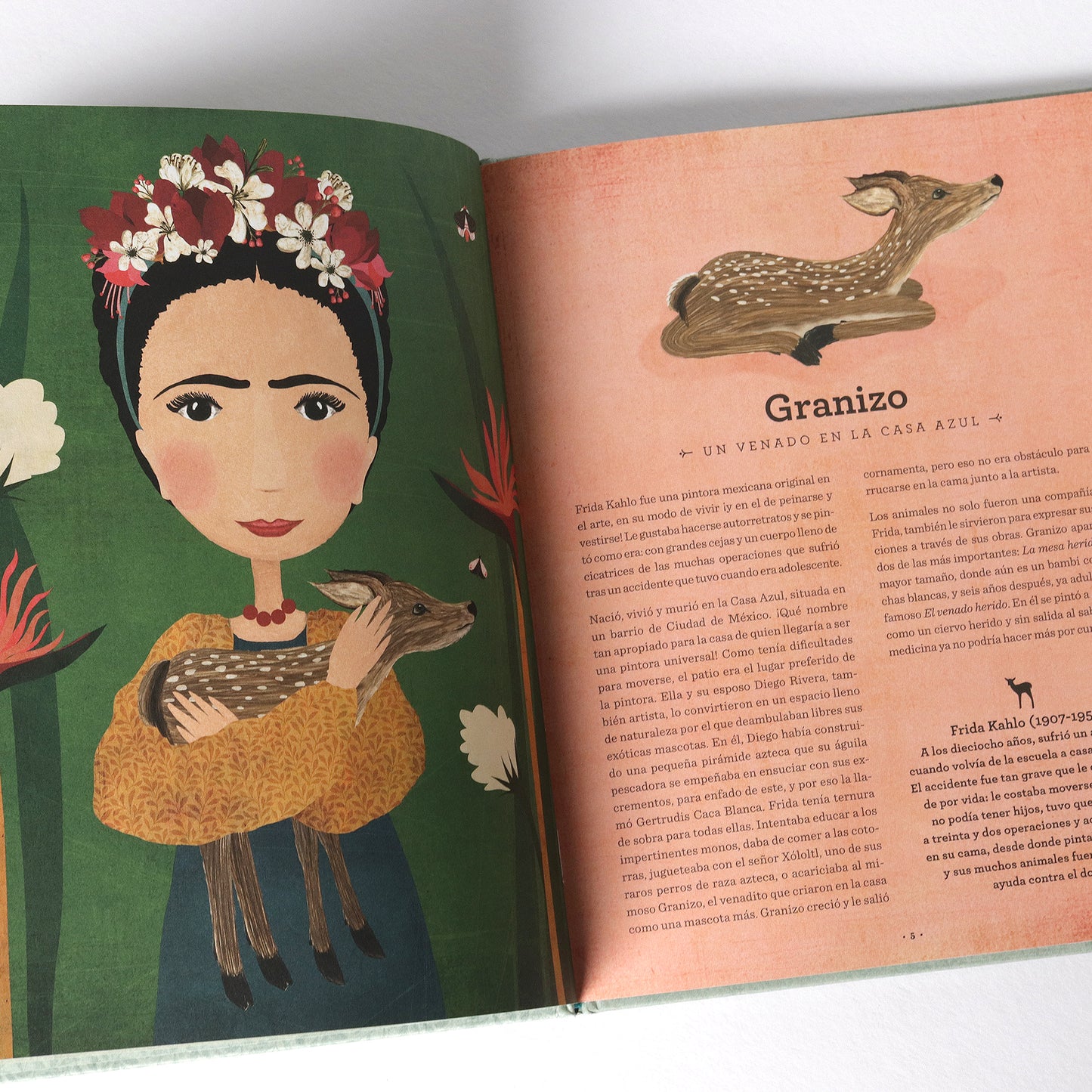 Amistades animales . Ana Gallo y Katherine Quinn