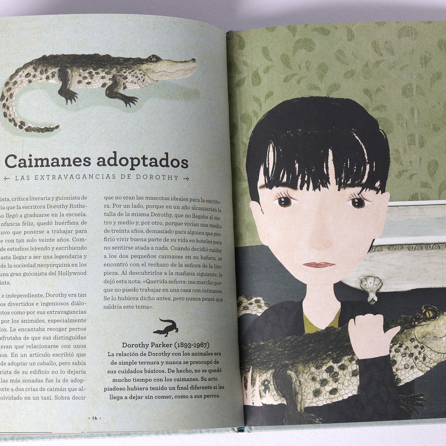 Amistades animales . Ana Gallo y Katherine Quinn