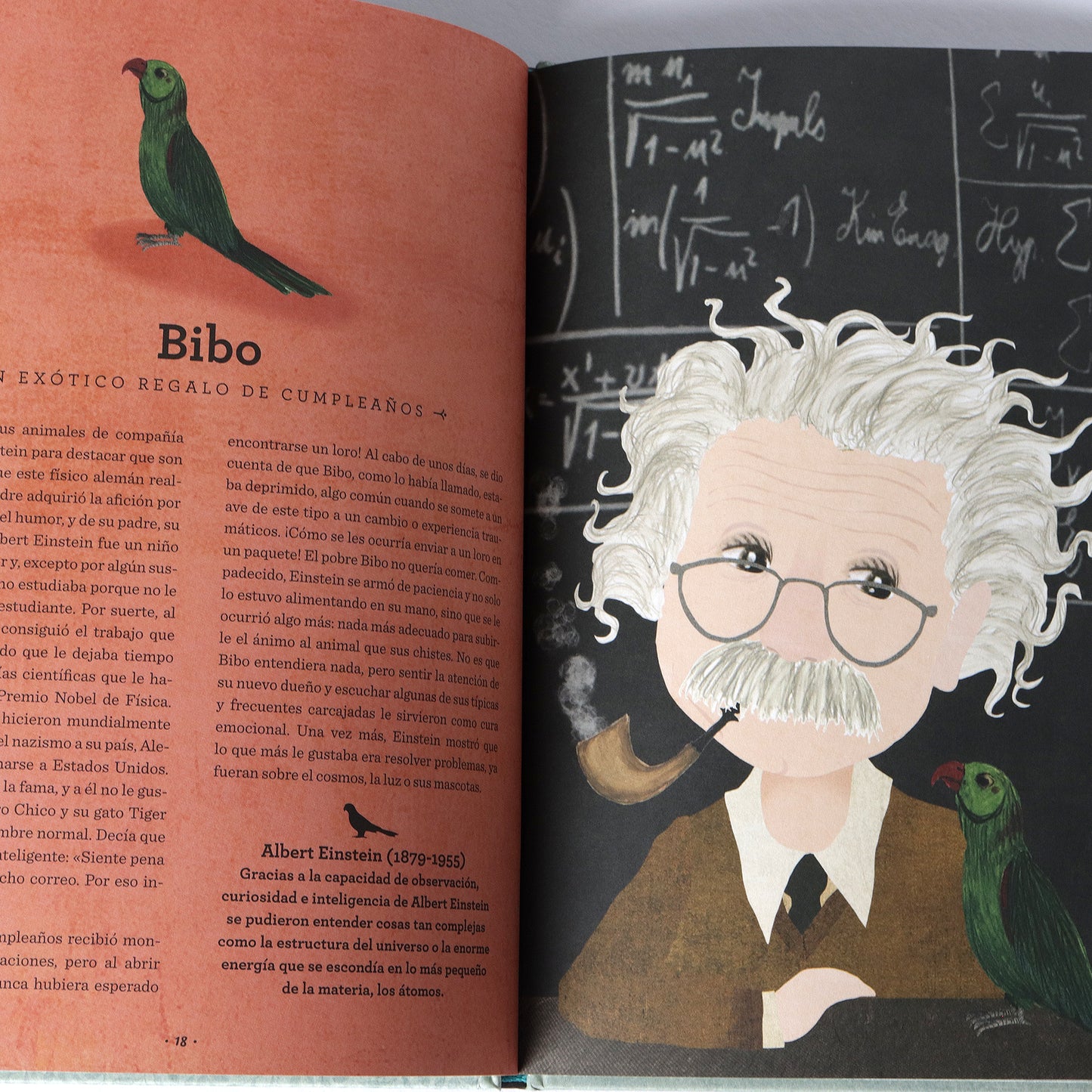 Amistades animales . Ana Gallo y Katherine Quinn