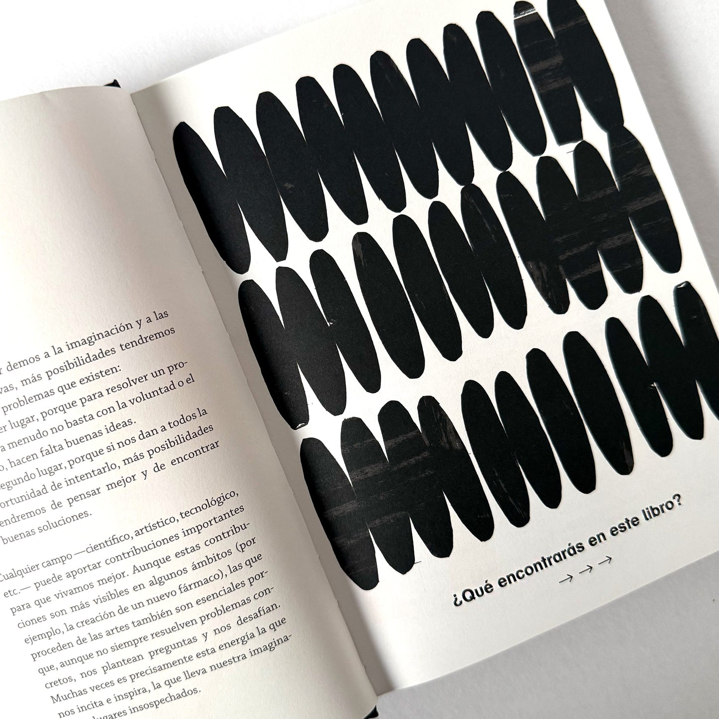 Con ojos creativos . Isabel Minhós Martins y Madalena Matoso