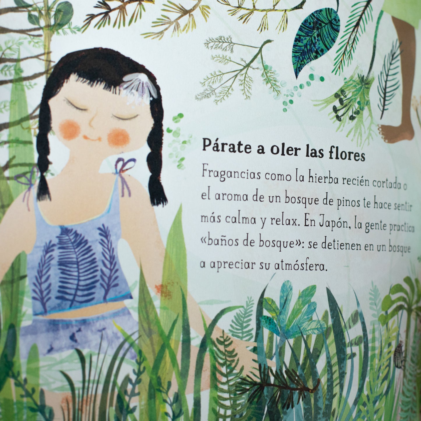 El gran libro de la madre tierra . Yuval Zommer