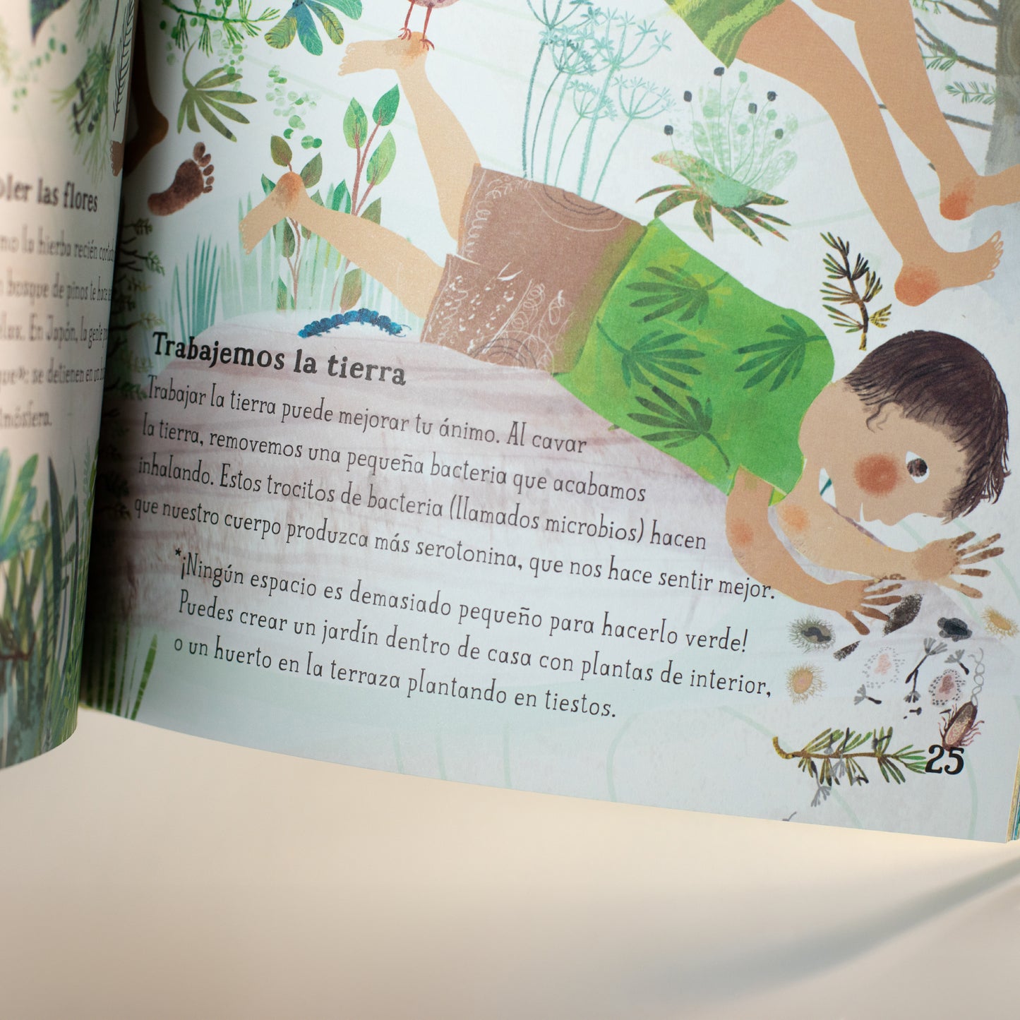 El gran libro de la madre tierra . Yuval Zommer