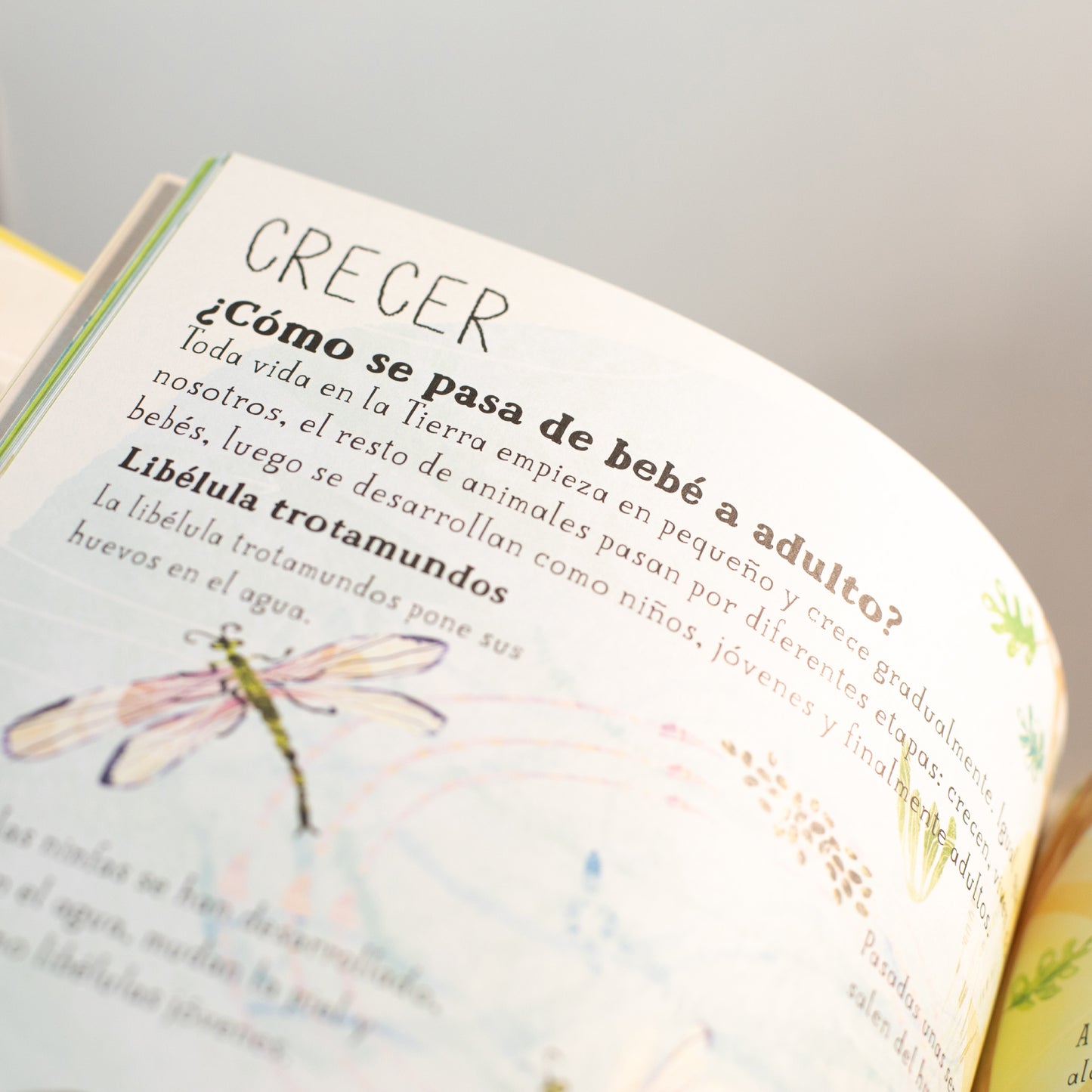 El gran libro de la madre tierra . Yuval Zommer