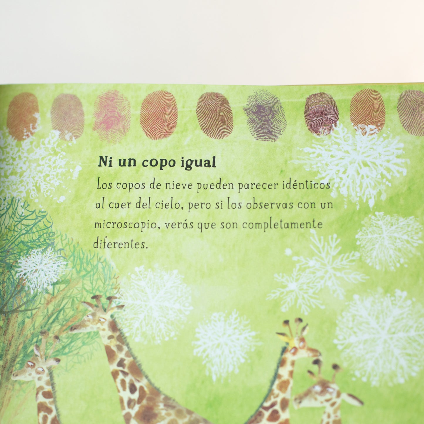 El gran libro de la madre tierra . Yuval Zommer
