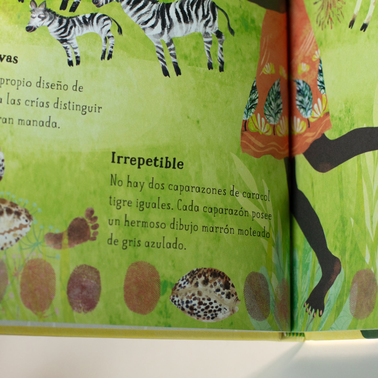 El gran libro de la madre tierra . Yuval Zommer
