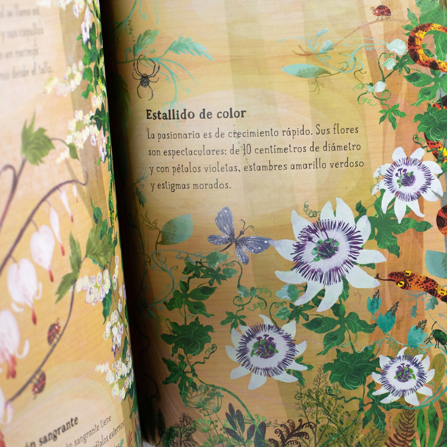 El gran libro de las flores . Yubal Zommer