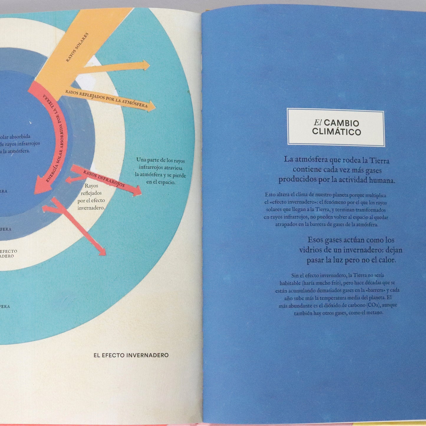 Geo-gráficos . Regina Giménez