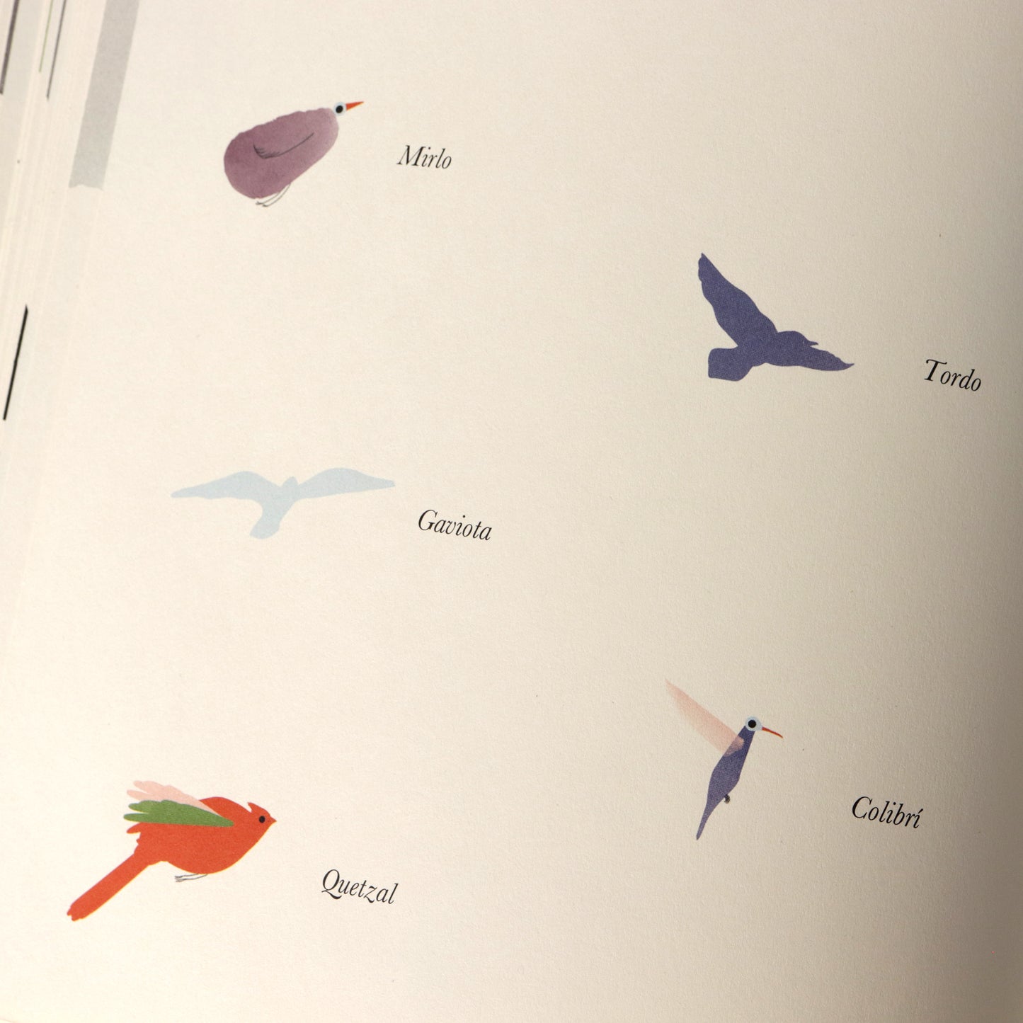 La señora de los pájaros . Yael Frankel