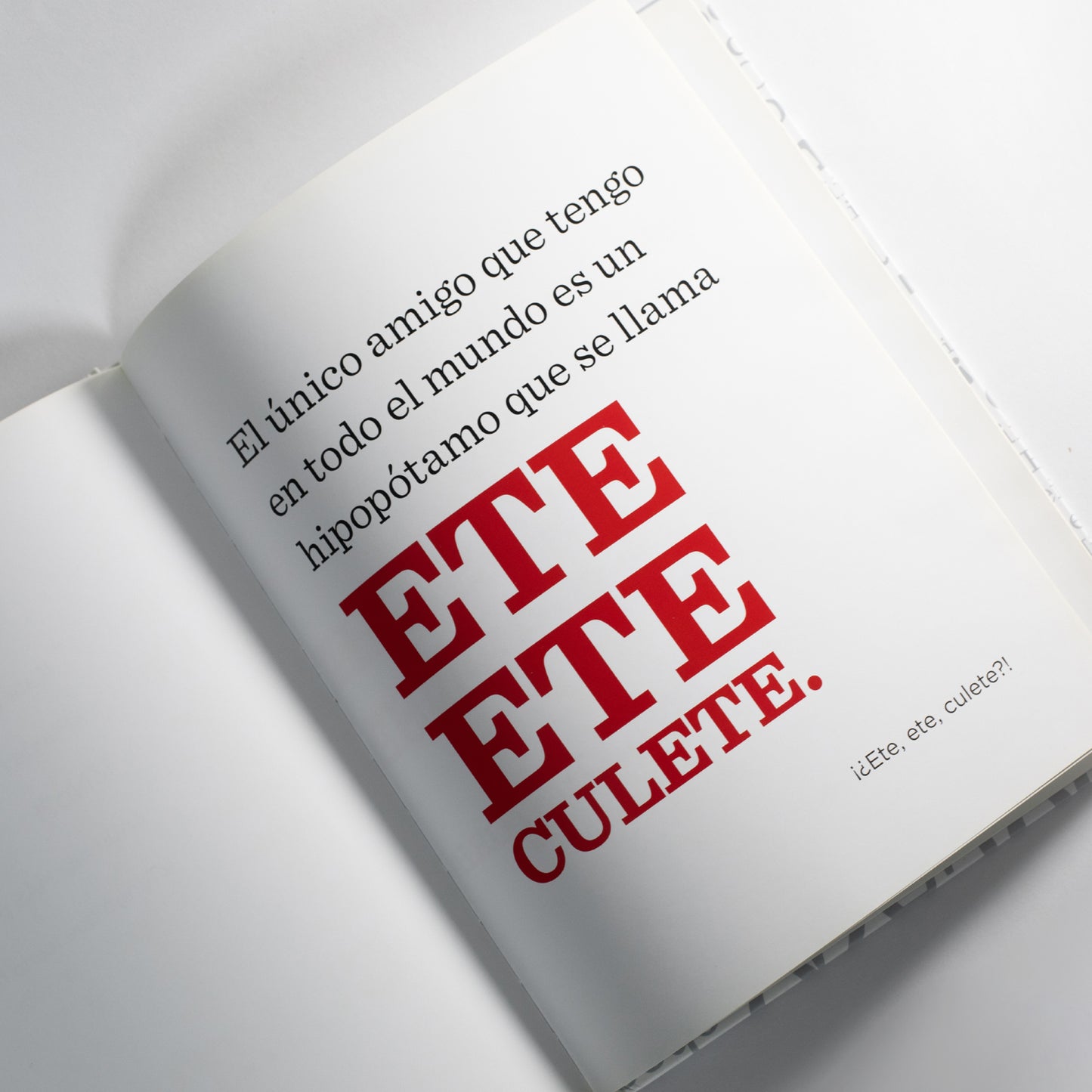 El libro sin dibujos . B.J. Novak