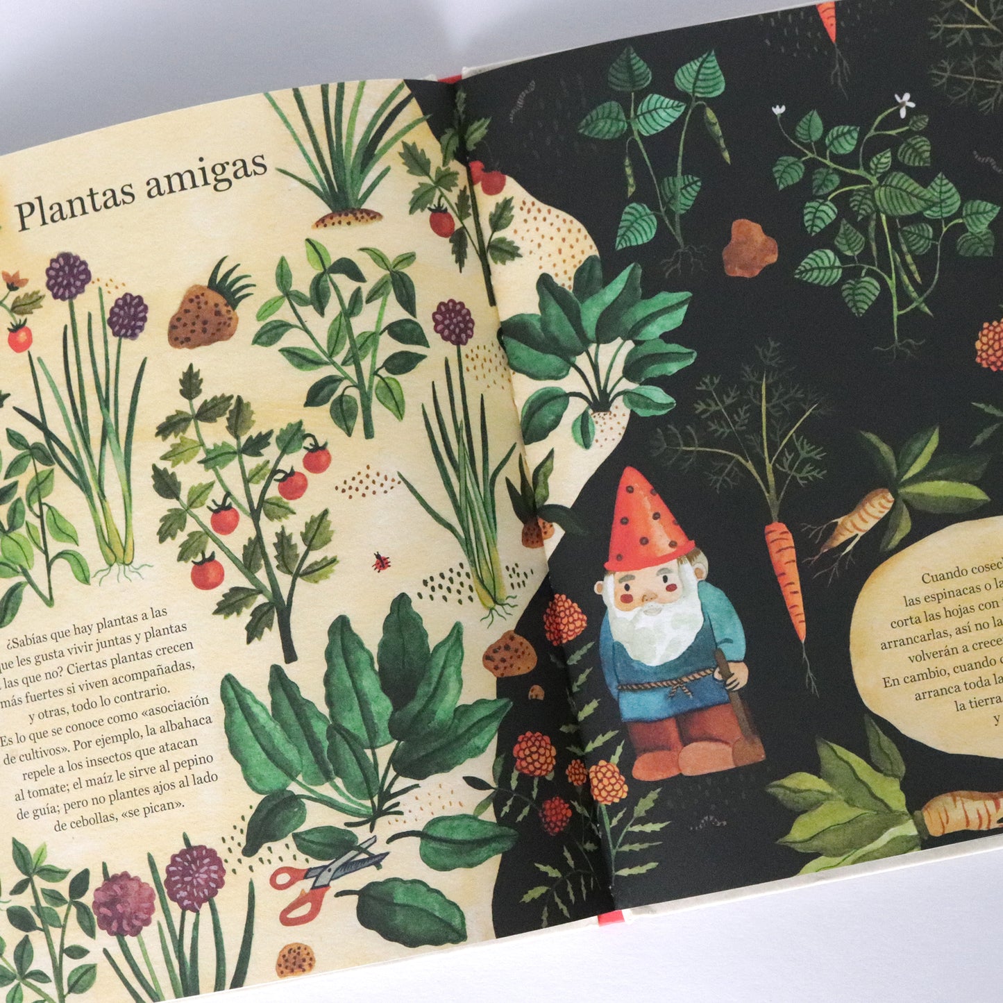 Manos a la tierra, crea tu propio jardín . Kirsten Bradley