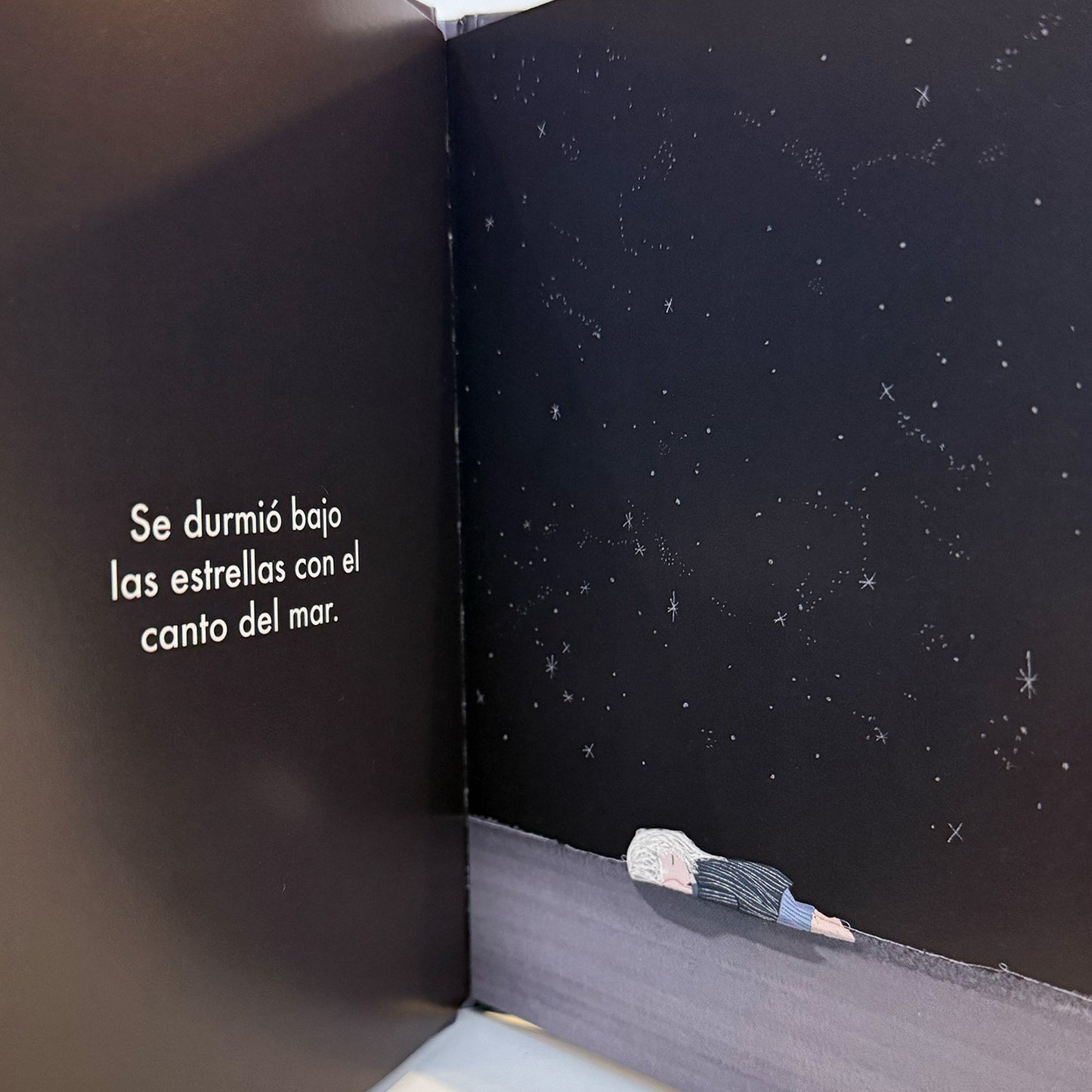 Navegante de sueños . Mariana Narváez