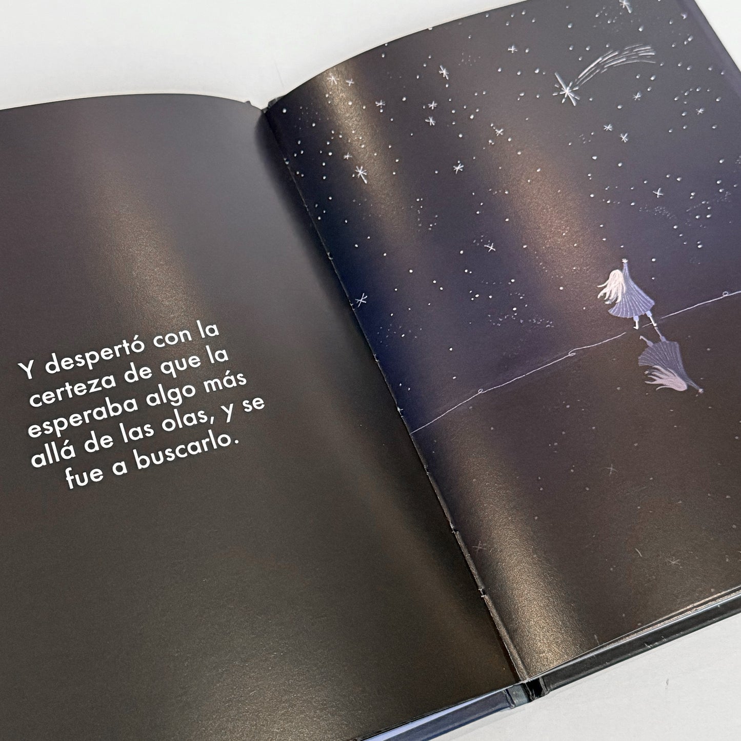 Navegante de sueños . Mariana Narváez